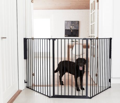 DogSpace Rocky Configure Gate System in Black